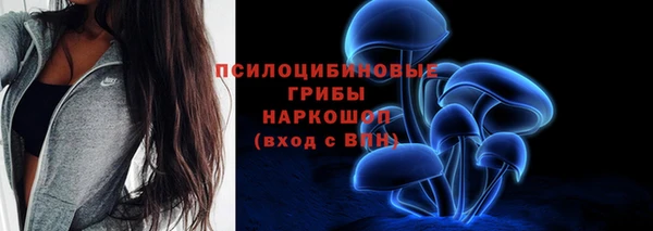 круглые Алзамай
