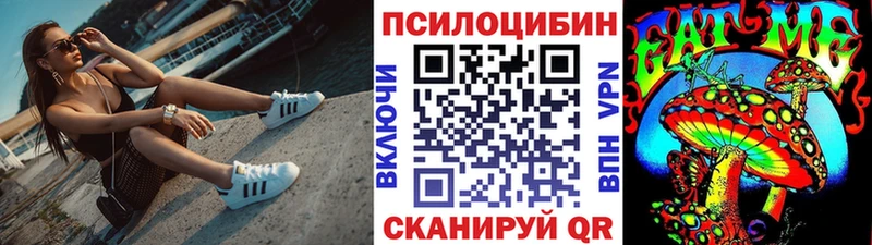 Галлюциногенные грибы Psilocybine cubensis блэк спрут маркетплейс Петров Вал что такое наркотик